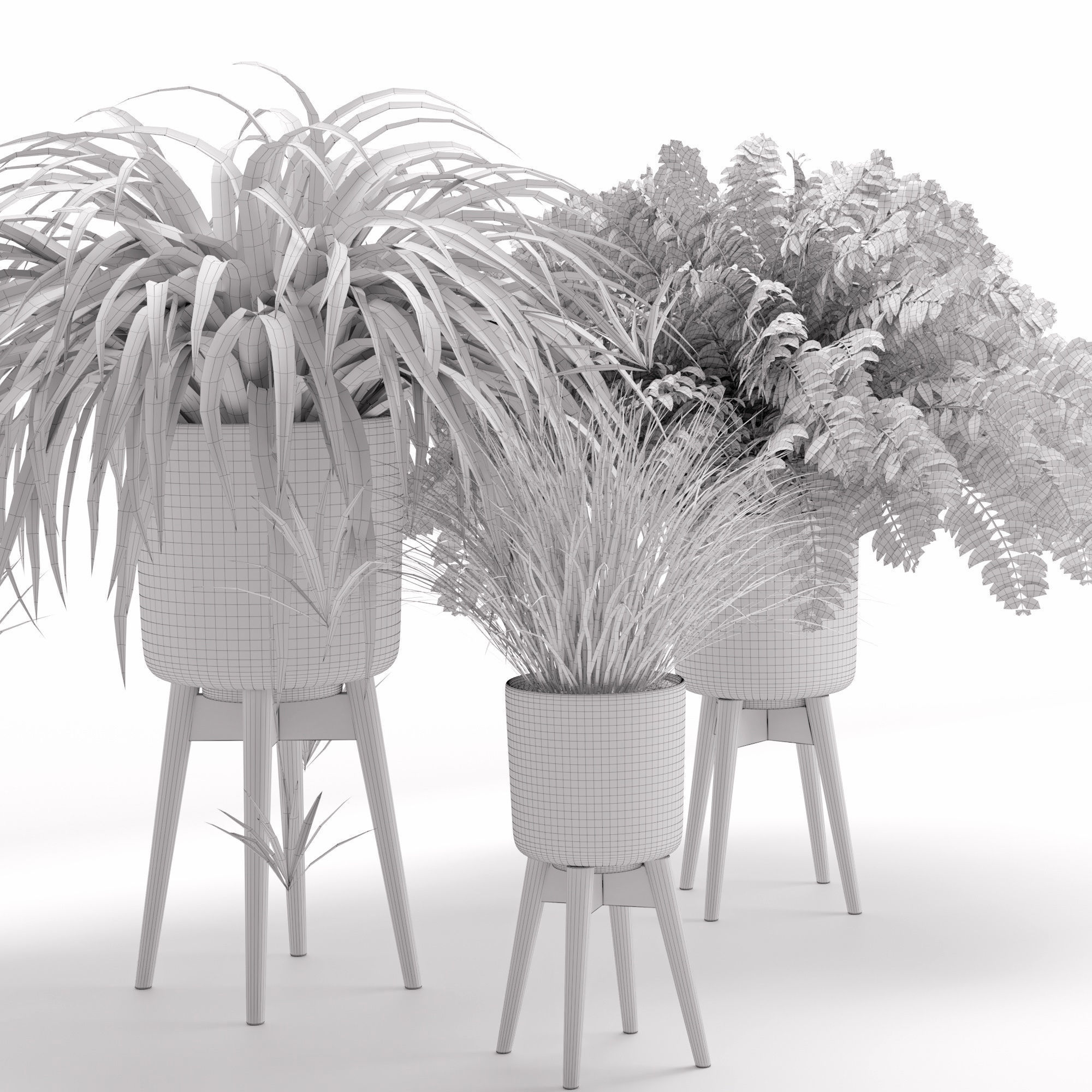 Houseplant 30 3D model_3