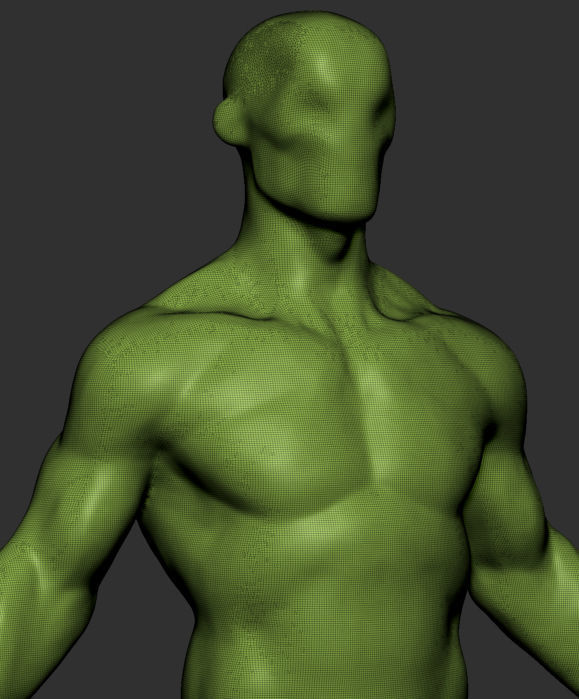 Stylized Body v3 3D model_6