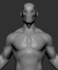 Stylized Body v3 3D model_2