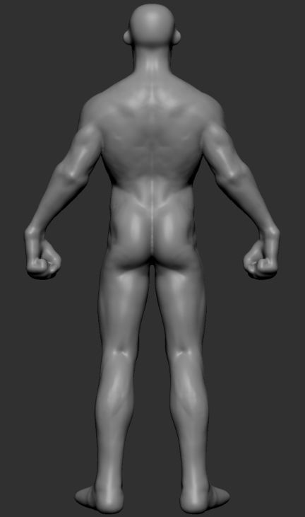 Stylized Body v3 3D model_5