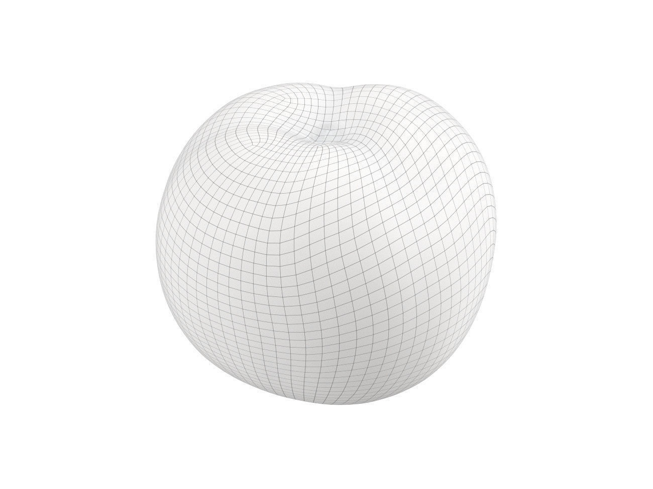 Photorealistic Tomato 3D Scan 3D model_7