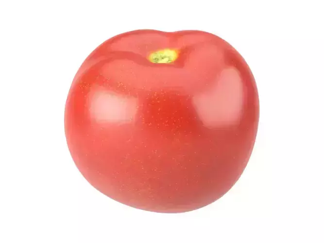 Photorealistic Tomato 3D Scan 3D model