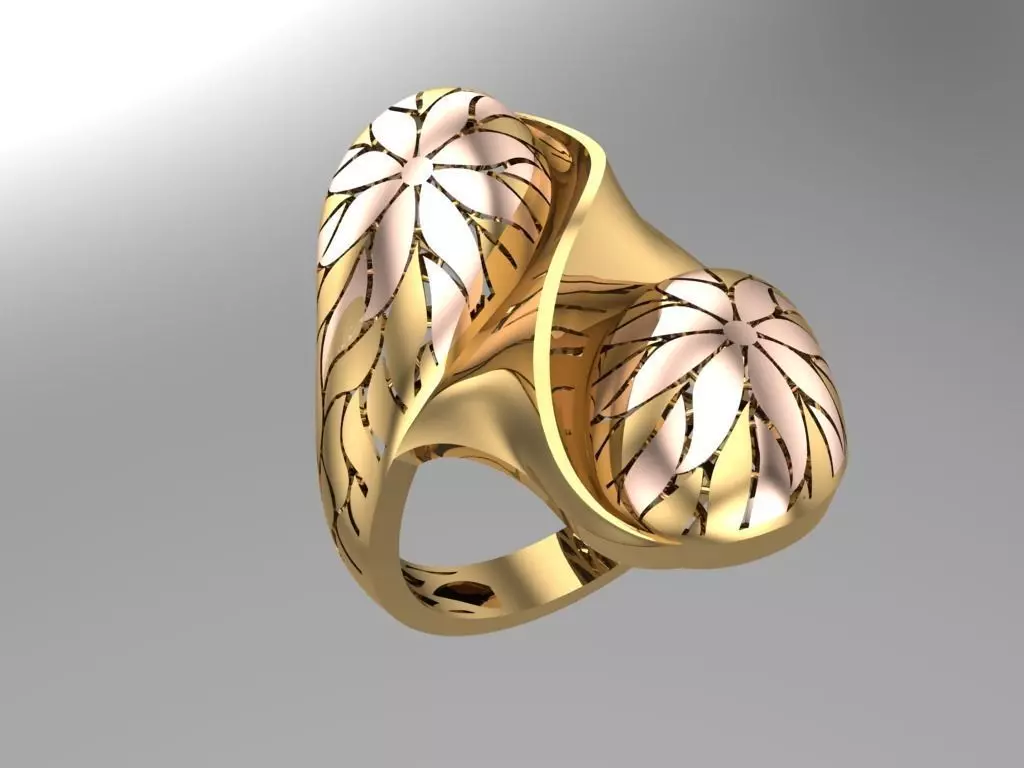 fizyon ring 1 3D print model_0