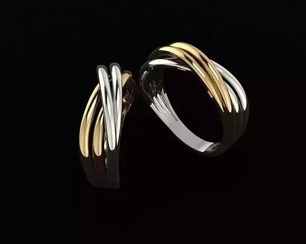 Ring Twst 3D print model