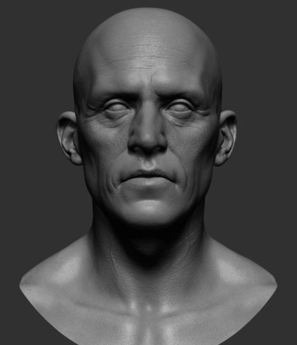 Realistic Male Head 3D model