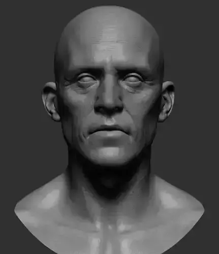 Realistic Male Head 3D model