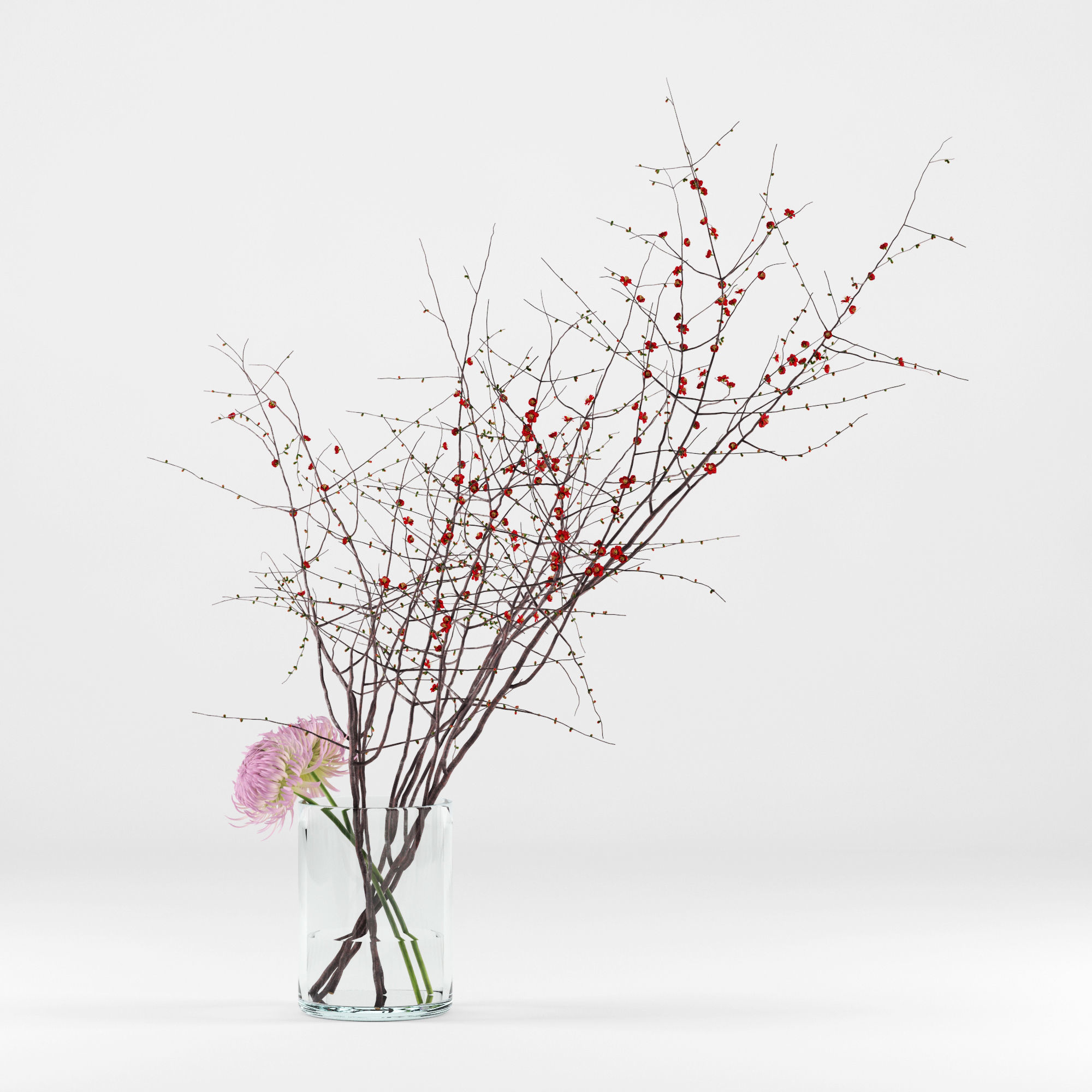 Prunus branches and chrysanthemums 3D model_7