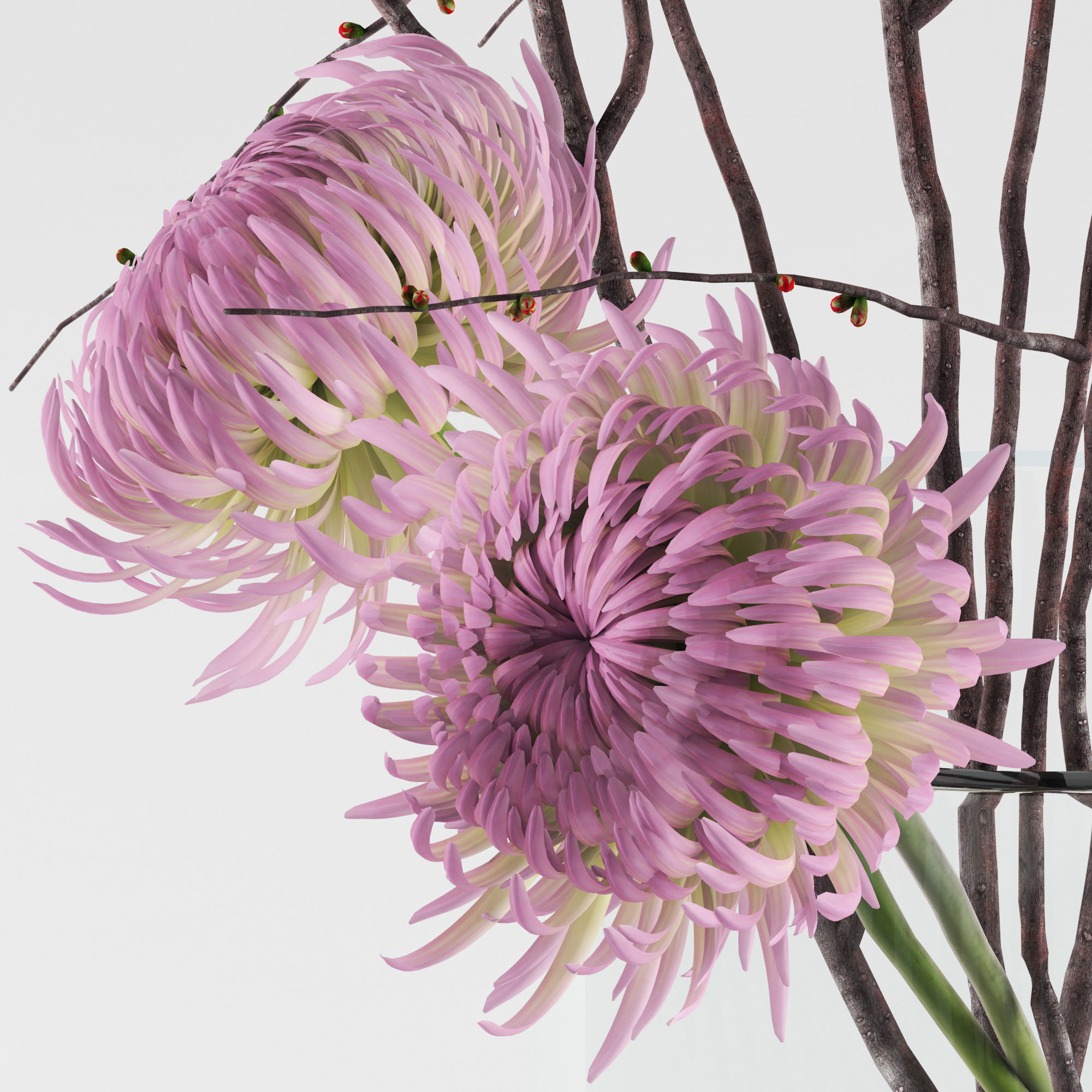 Prunus branches and chrysanthemums 3D model_9