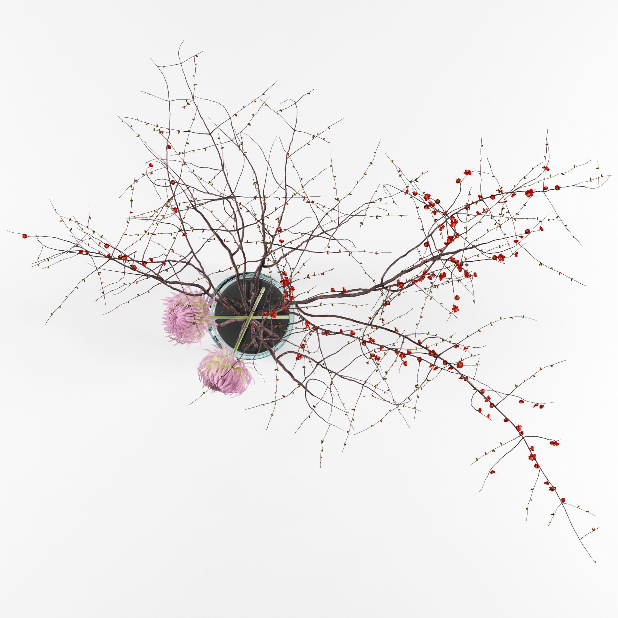 Prunus branches and chrysanthemums 3D model_8