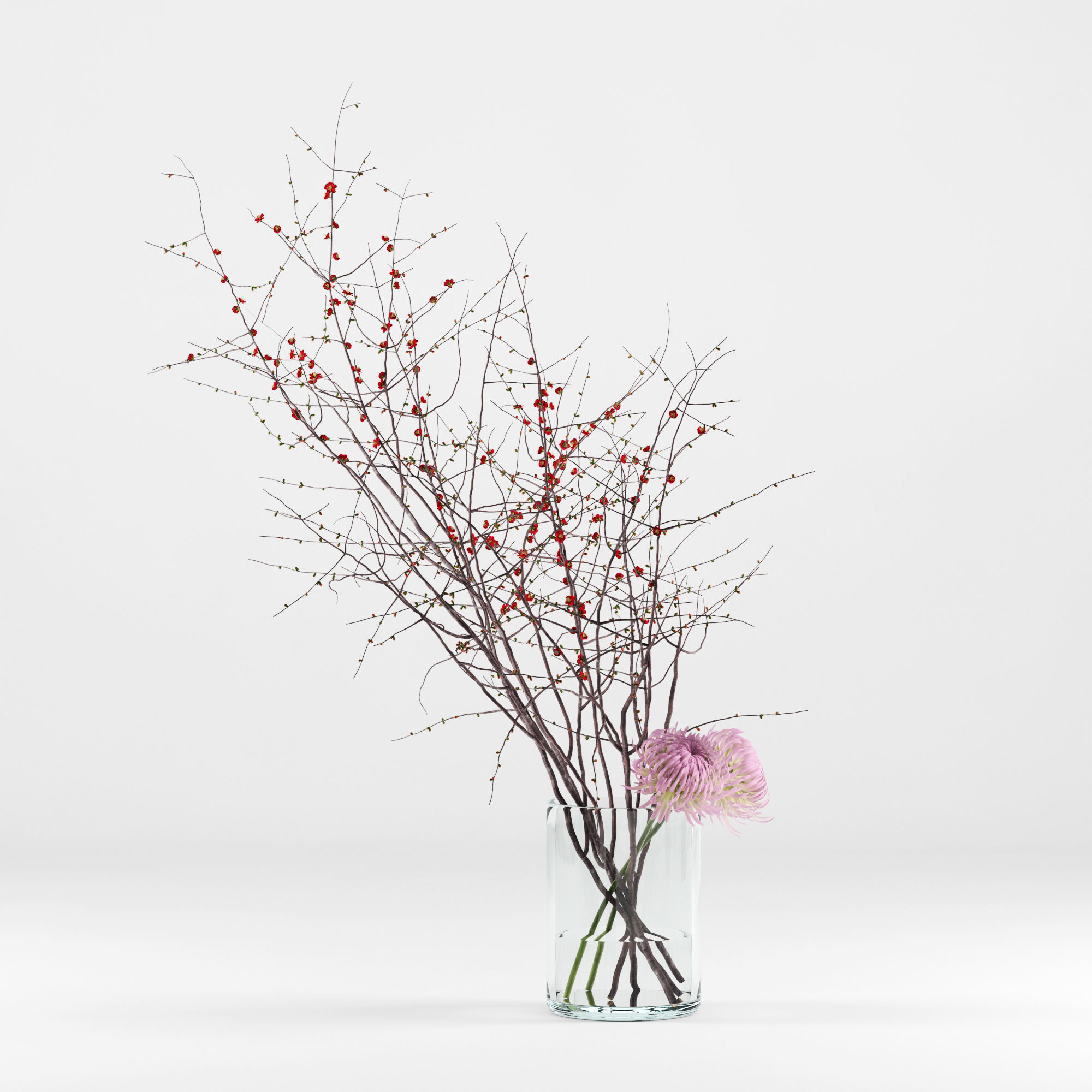 Prunus branches and chrysanthemums 3D model_4