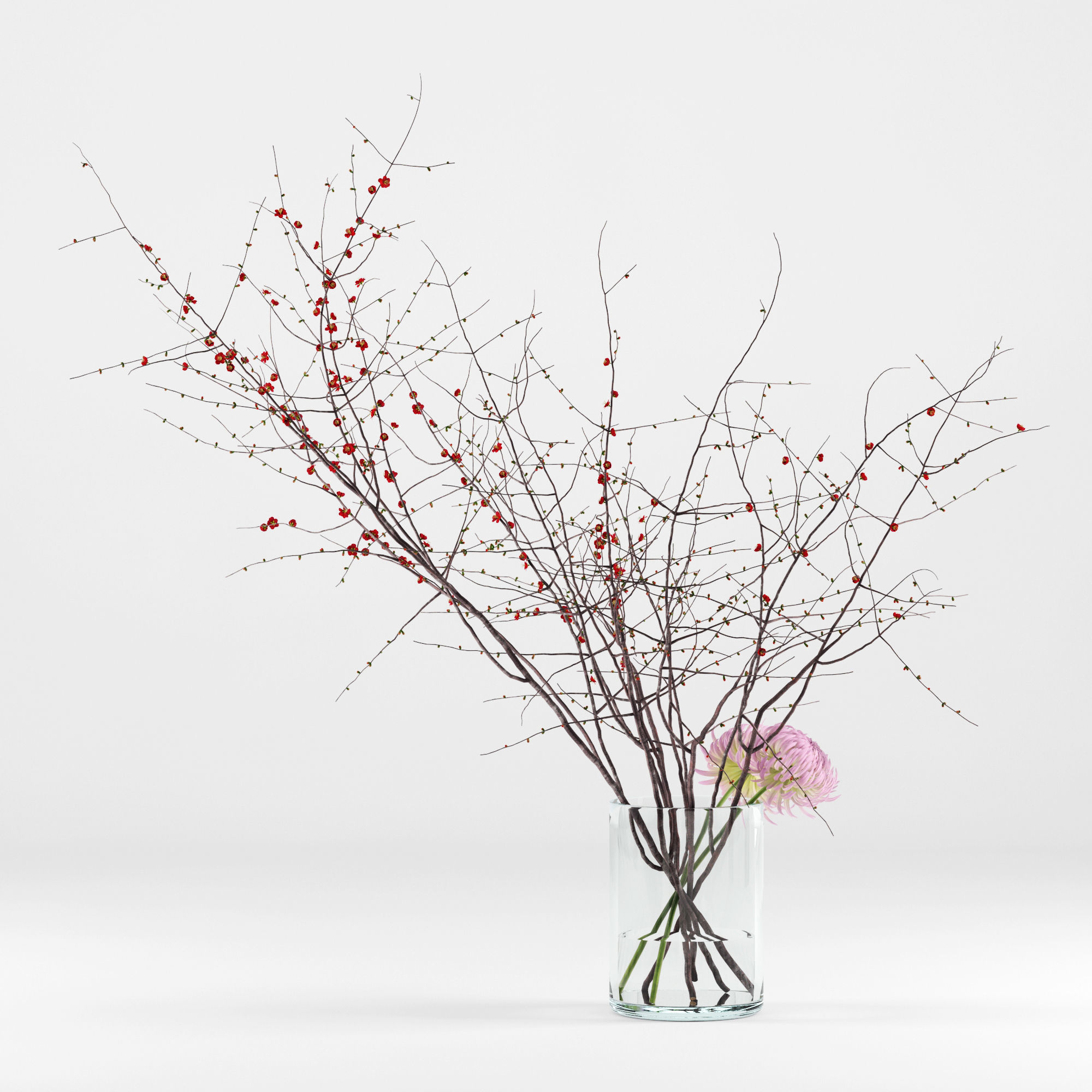 Prunus branches and chrysanthemums 3D model_5
