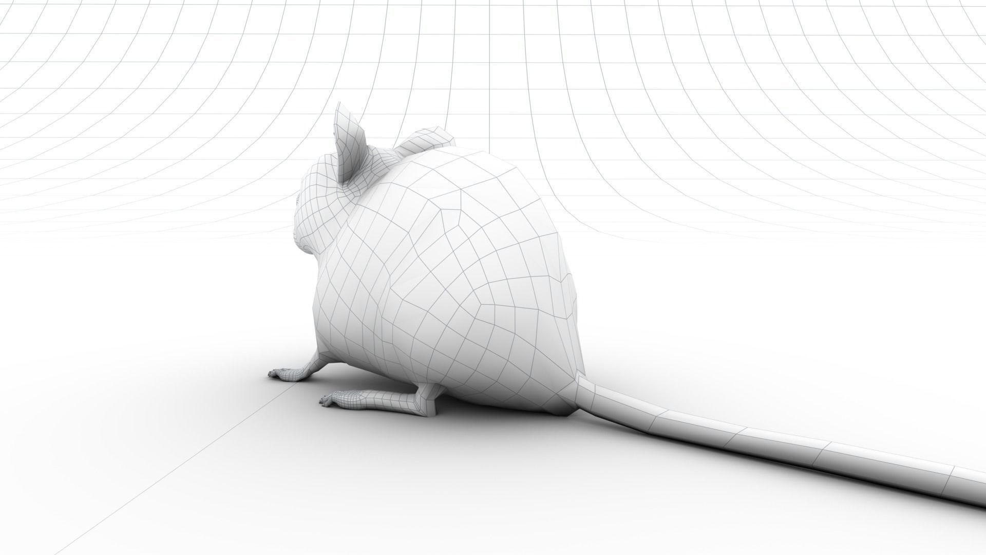 Mouse - grey brown white fur - realistic style - rigged Low-poly 3D model_22