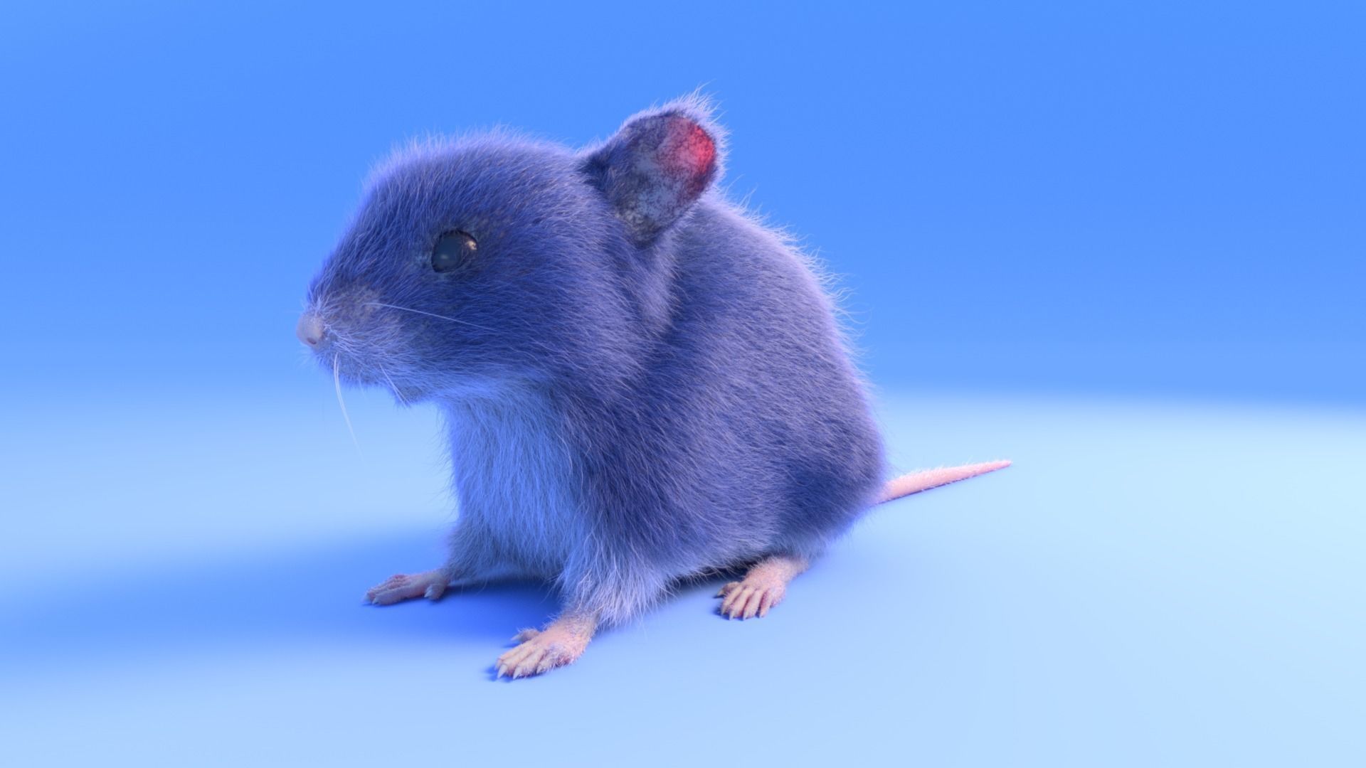 Mouse - grey brown white fur - realistic style - rigged Low-poly 3D model_4
