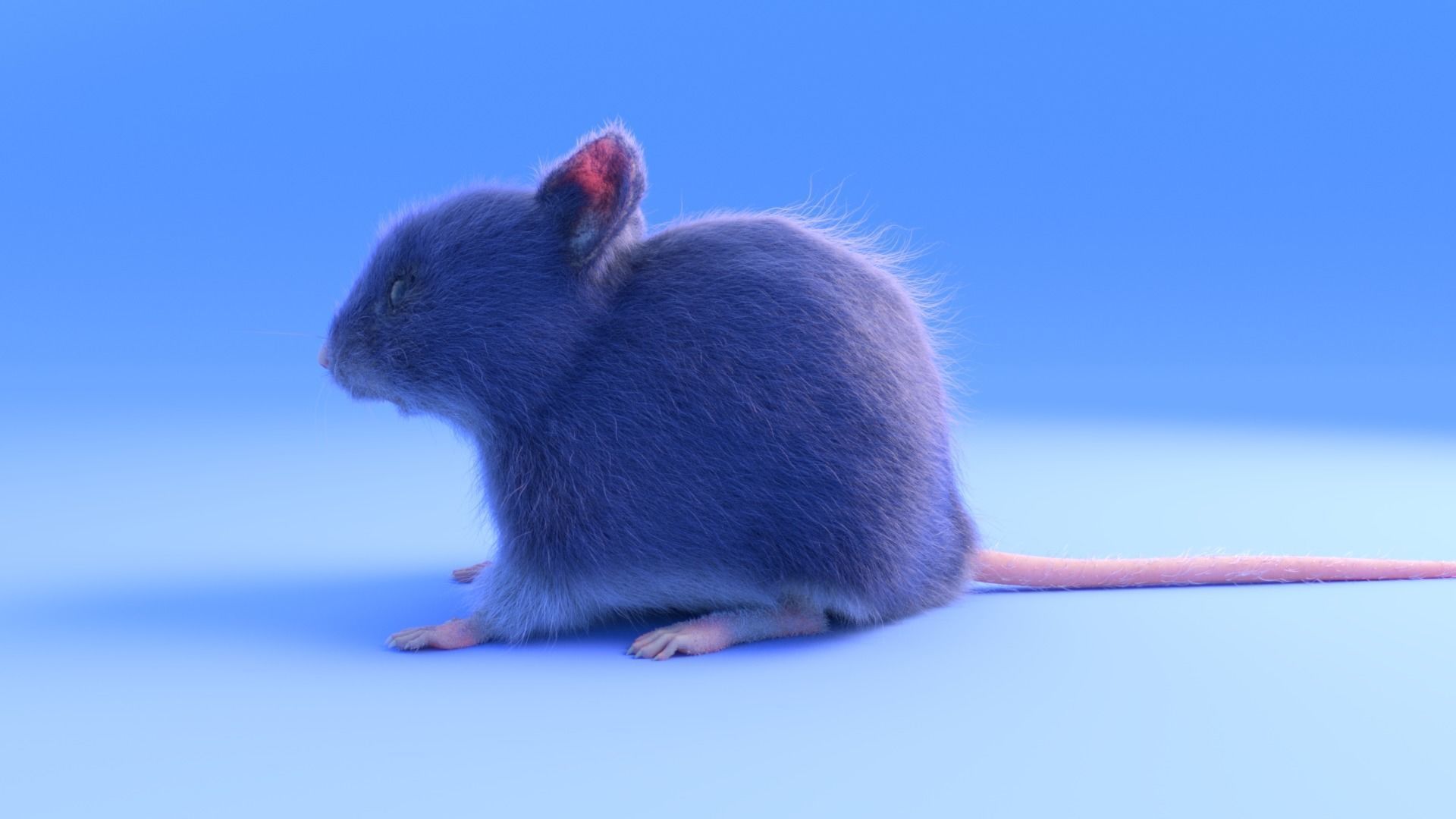 Mouse - grey brown white fur - realistic style - rigged Low-poly 3D model_6