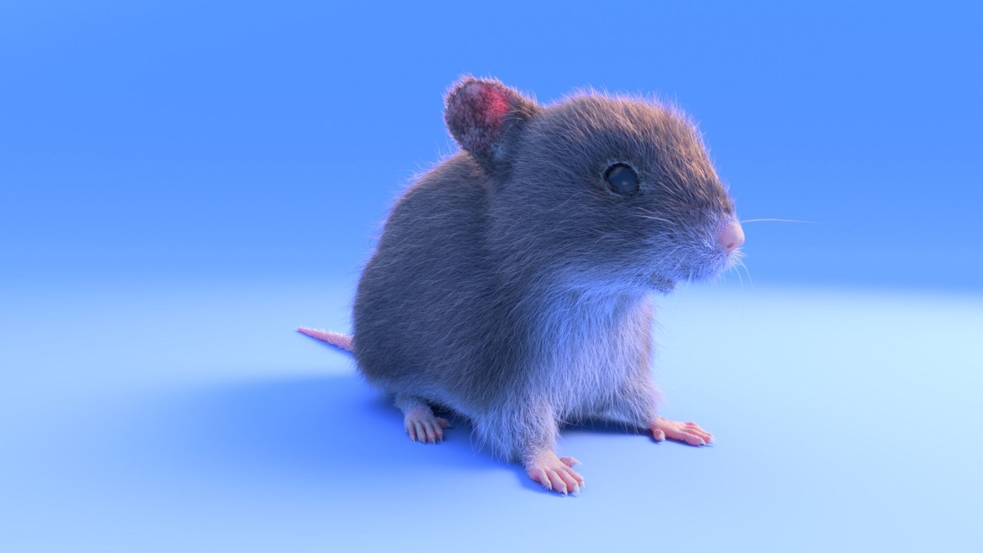 Mouse - grey brown white fur - realistic style - rigged Low-poly 3D model_1