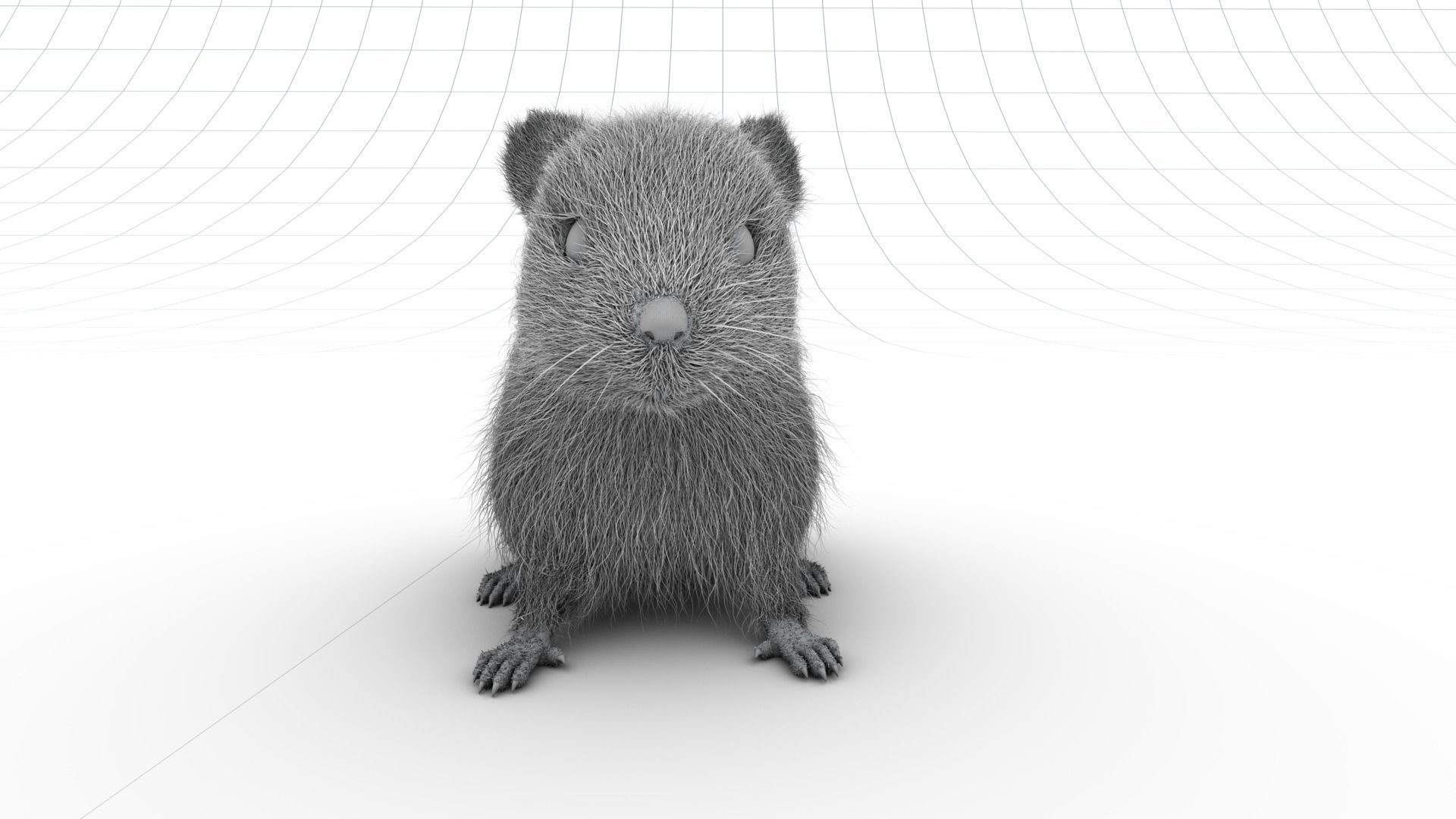 Mouse - grey brown white fur - realistic style - rigged Low-poly 3D model_16