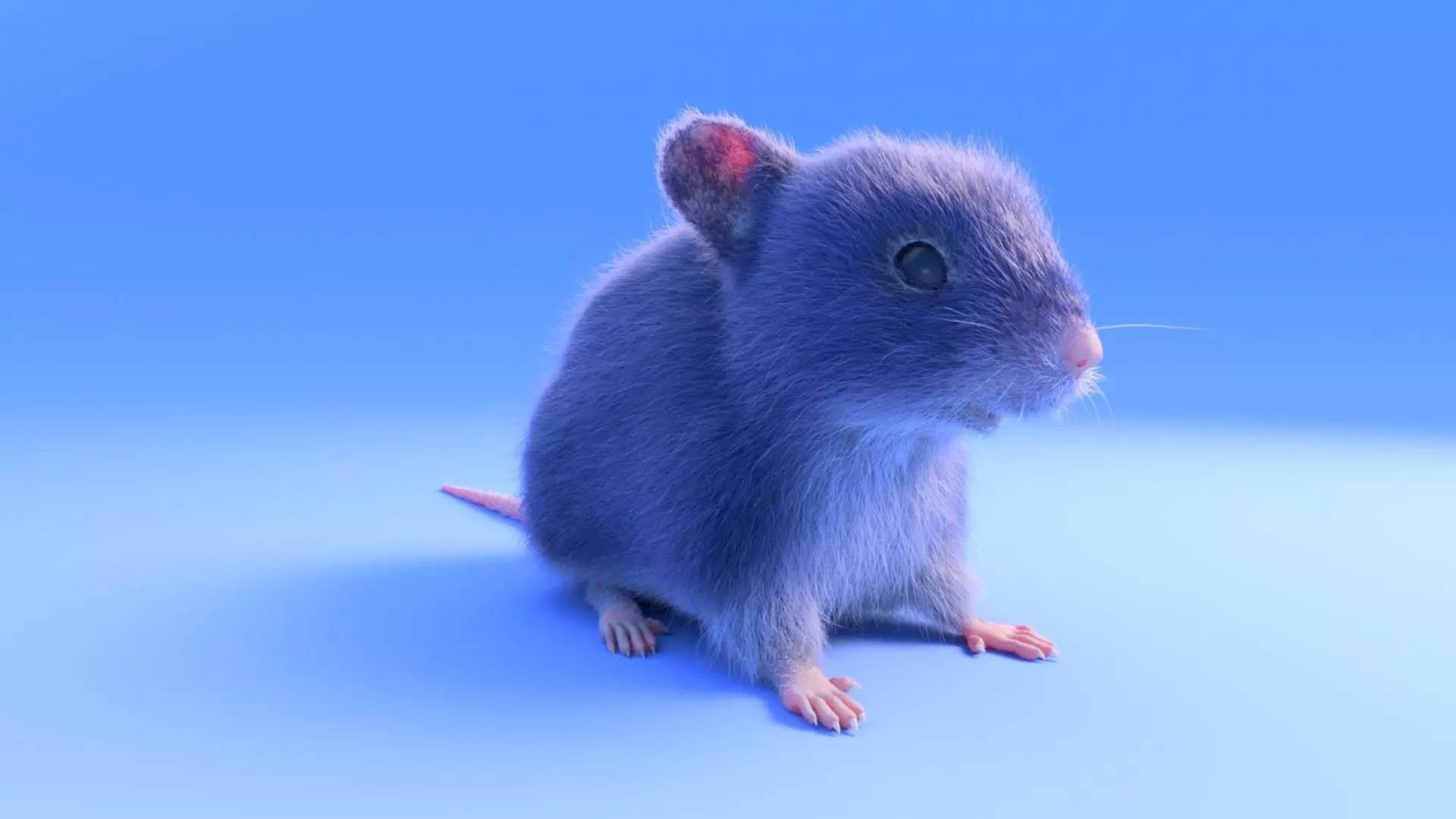 Mouse - grey brown white fur - realistic style - rigged Low-poly 3D model_0
