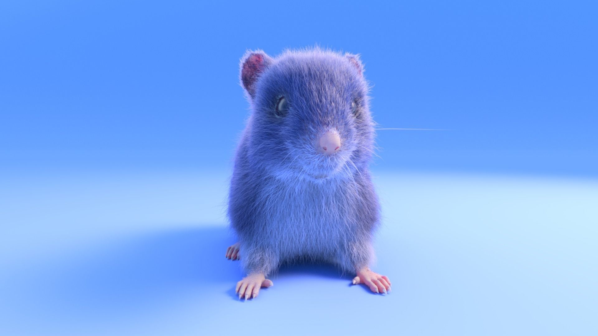 Mouse - grey brown white fur - realistic style - rigged Low-poly 3D model_3