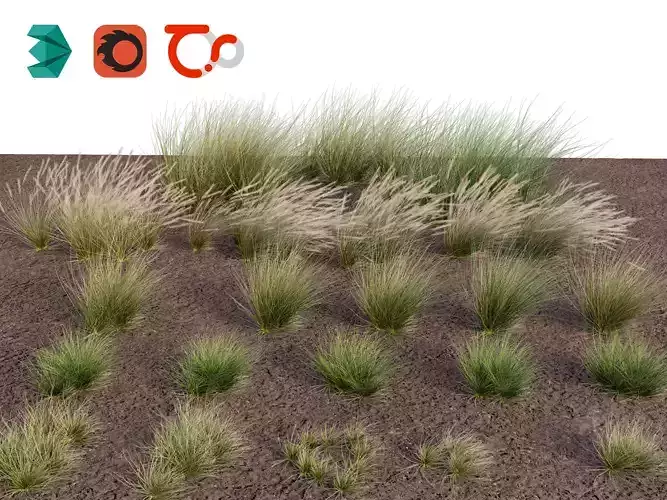 Eskdale grass 3D model
