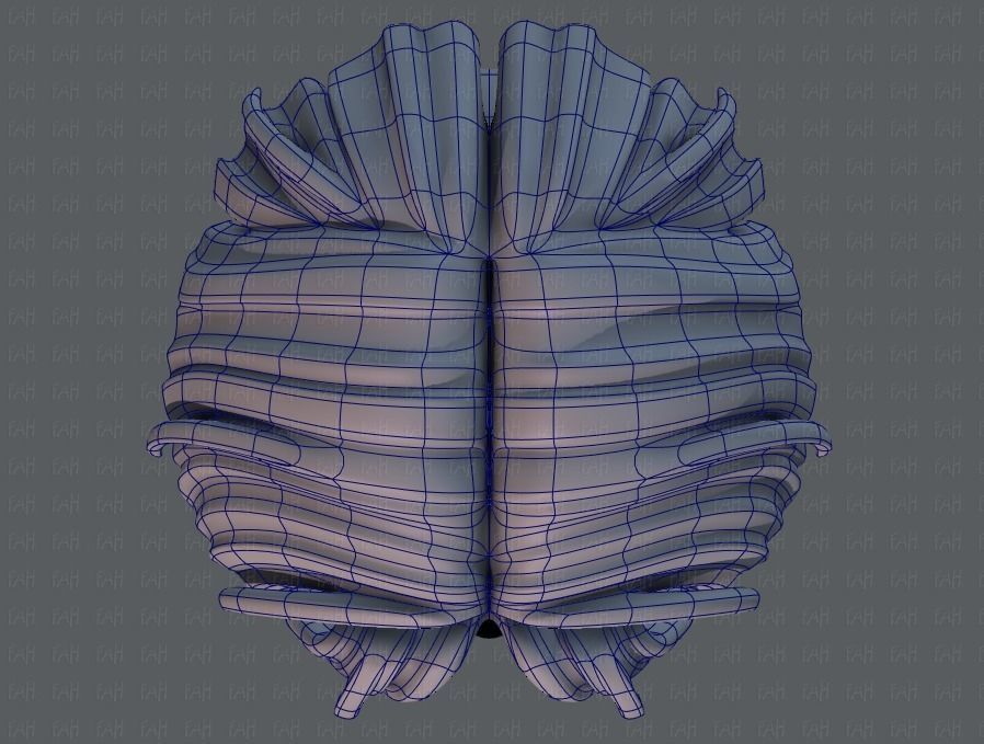 3D Hair style for boy V30 Low-poly 3D model_34