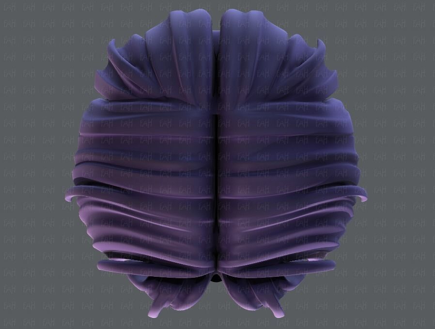 3D Hair style for boy V30 Low-poly 3D model_33