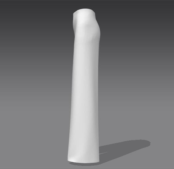 Flared  pants Low-poly 3D model_2