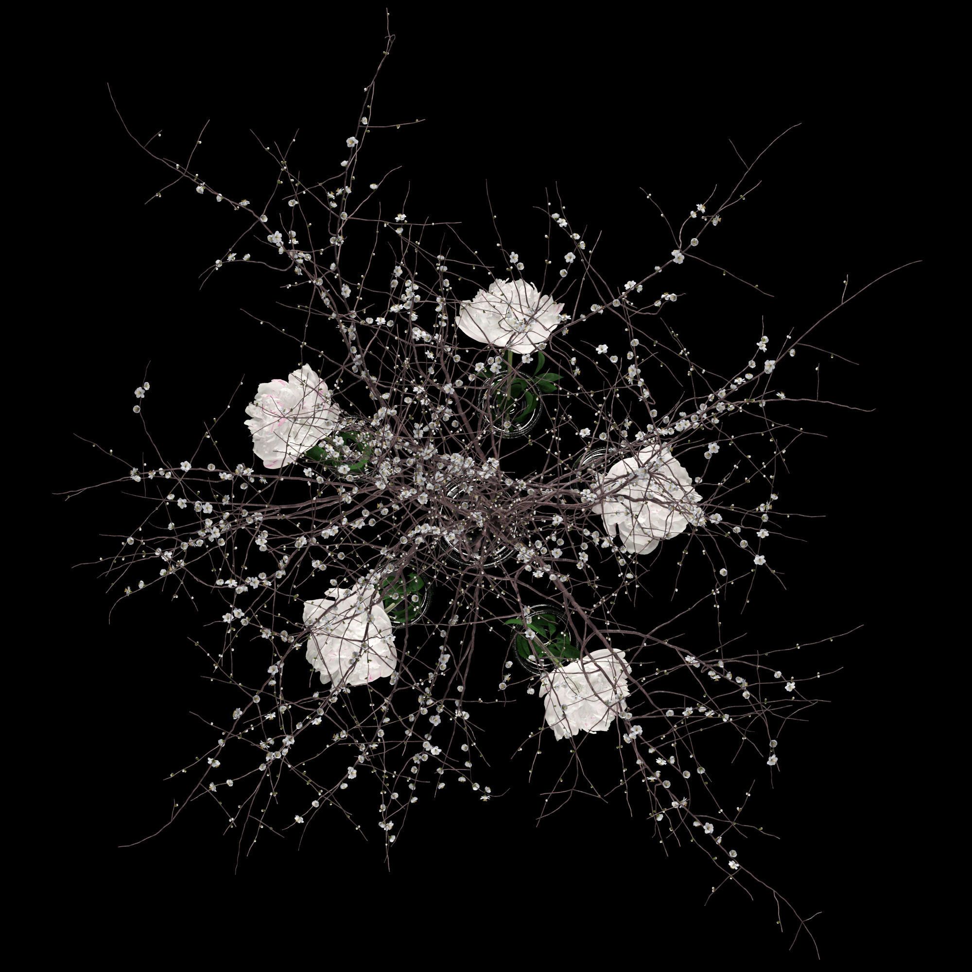 White prunus and peonies 3D model_9