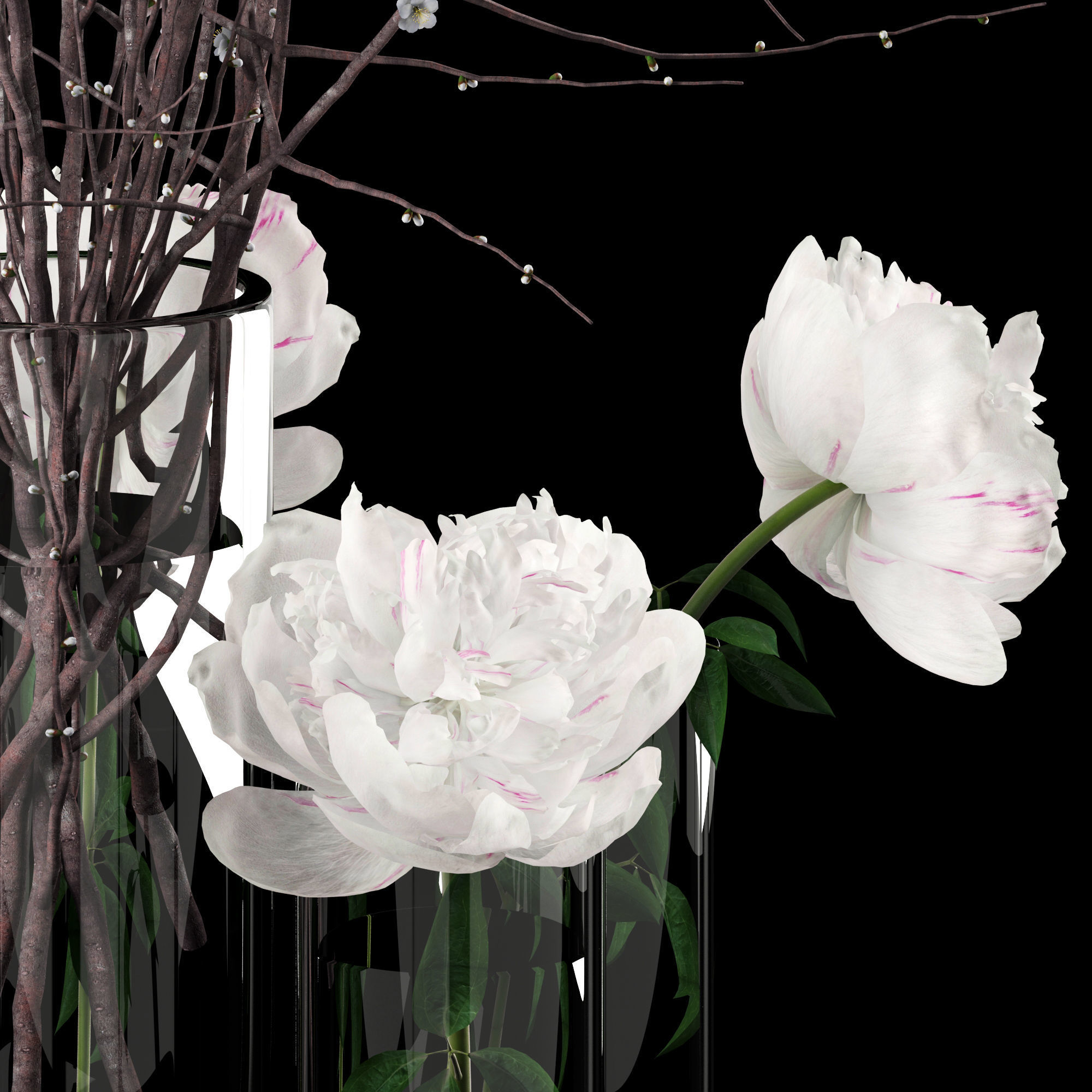 White prunus and peonies 3D model_10