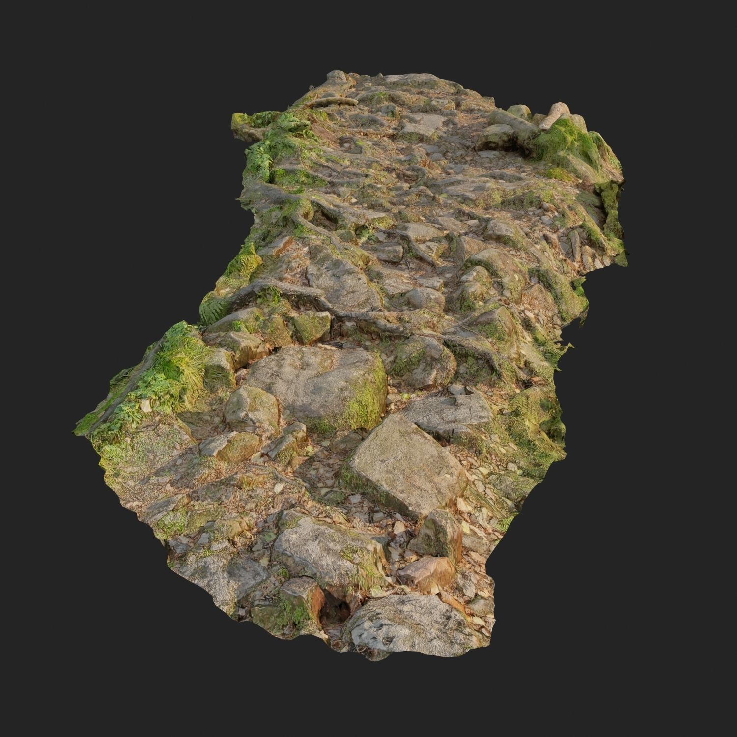 Ground stones C 3D model_5