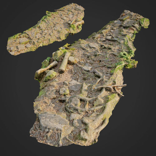 Ground stones C 3D model