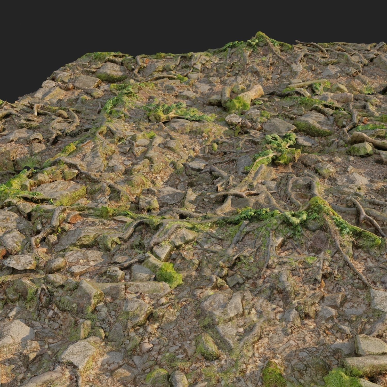 Ground stones C 3D model_8