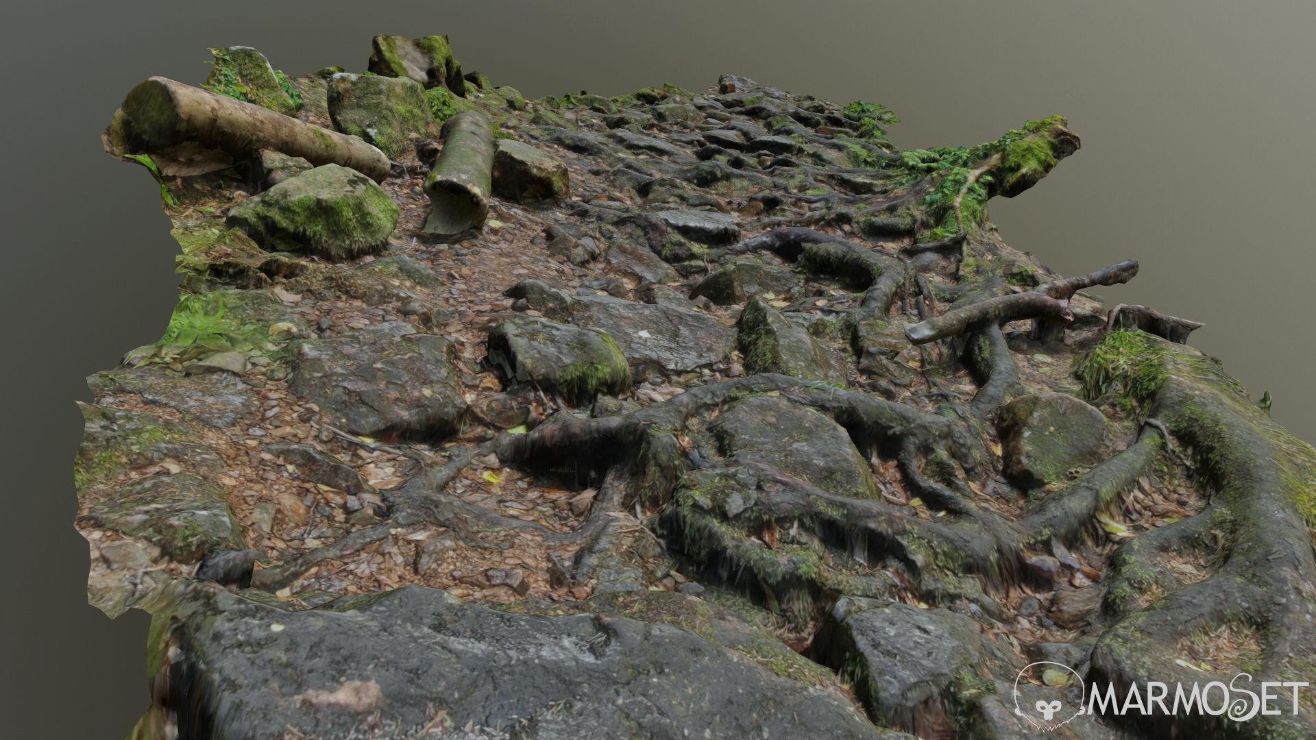 Ground stones C 3D model_3