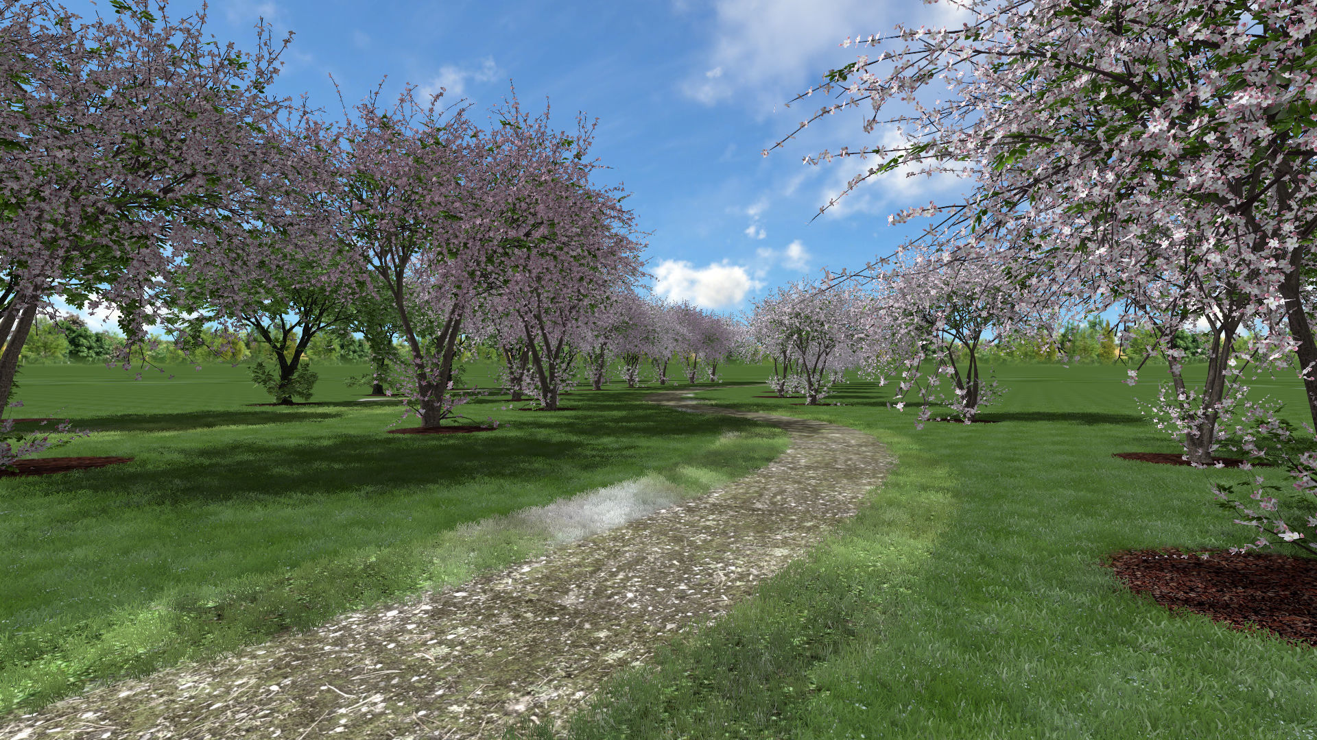 Tree Cherry 01 3D model_14