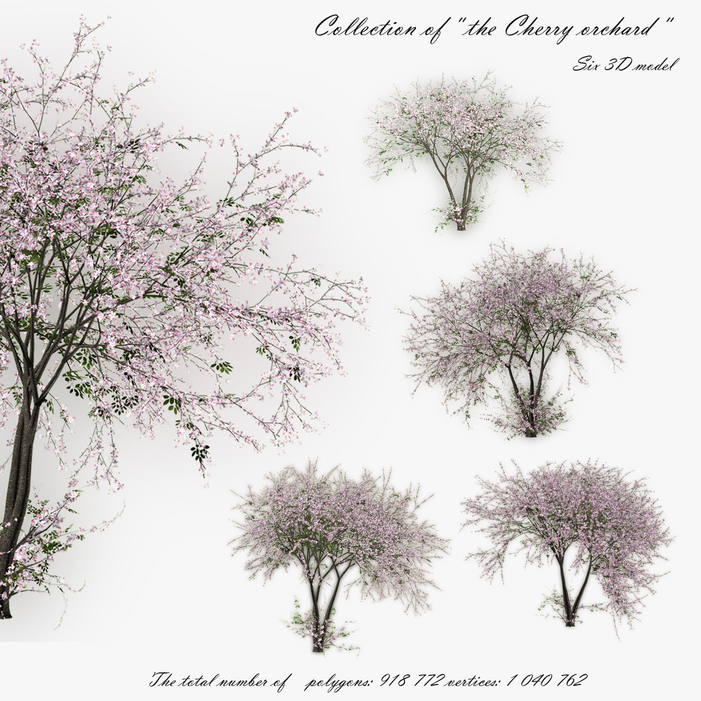 Tree Cherry 01 3D model_0
