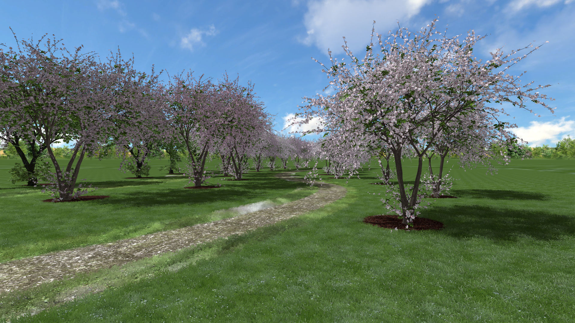 Tree Cherry 01 3D model_15