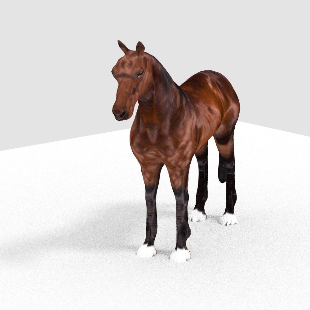 HORSE 3D model_3