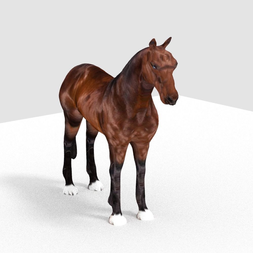 HORSE 3D model_1