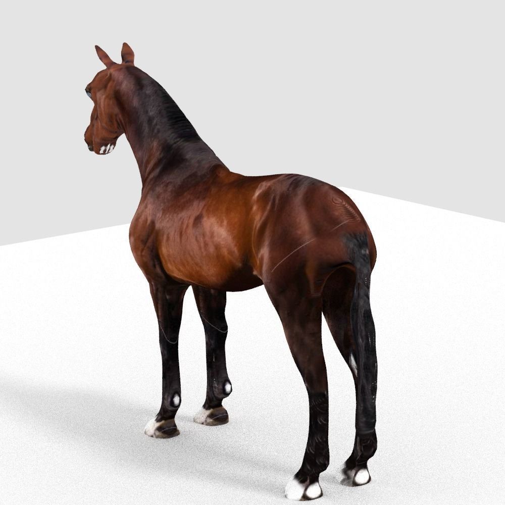 HORSE 3D model_2