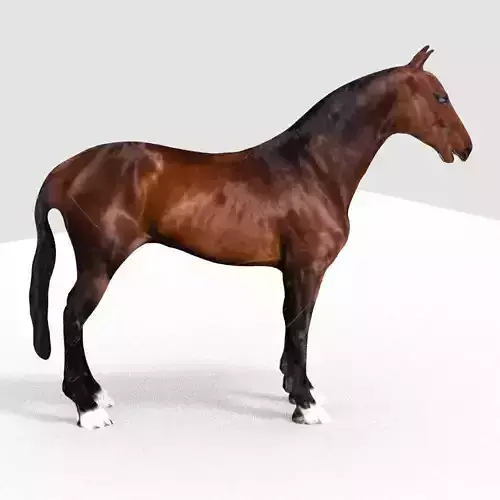 HORSE 3D model
