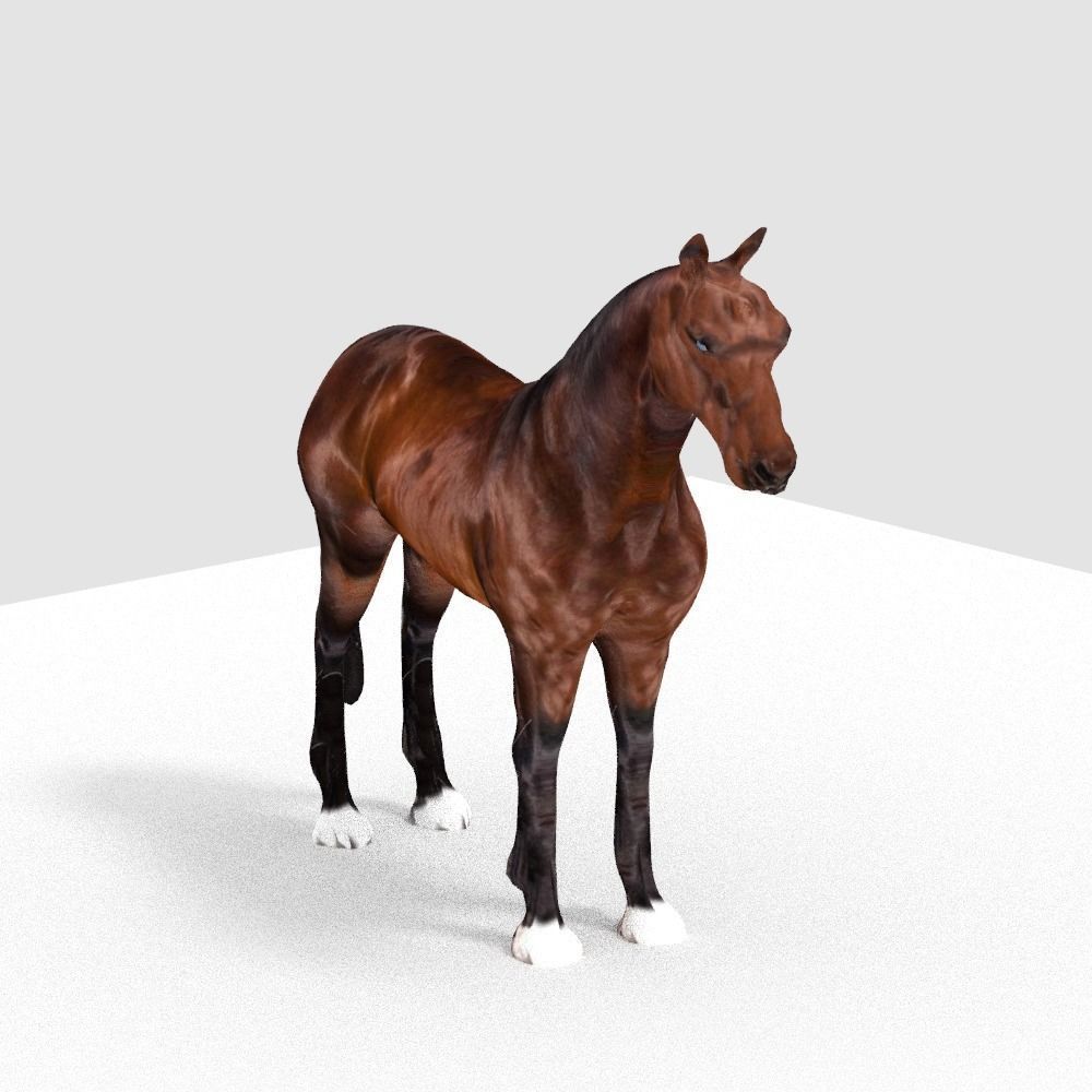 HORSE 3D model_5