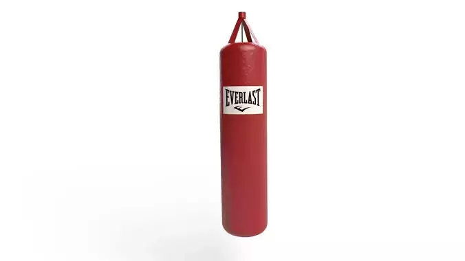 Boxing bag Everlast