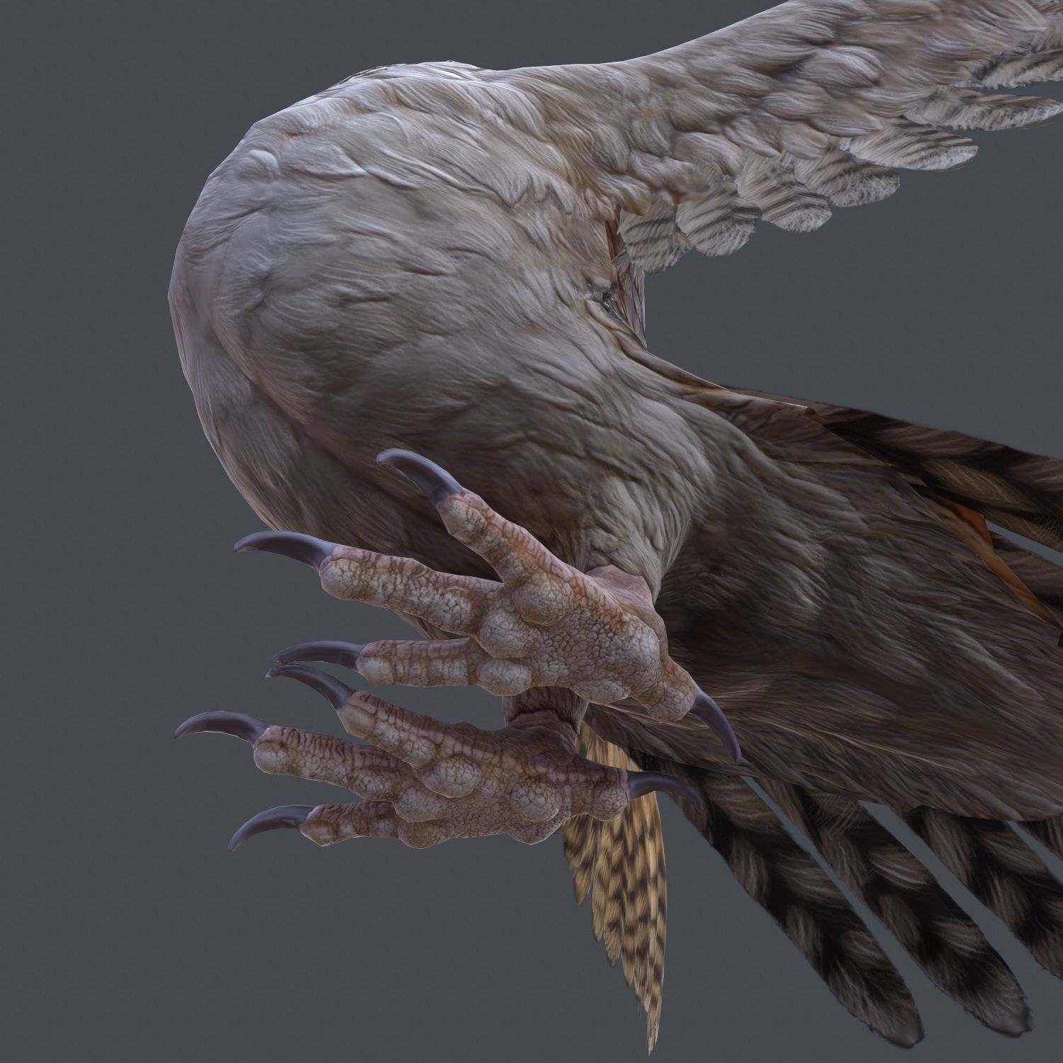 Barn Owl Low Poly Low-poly 3D model_12