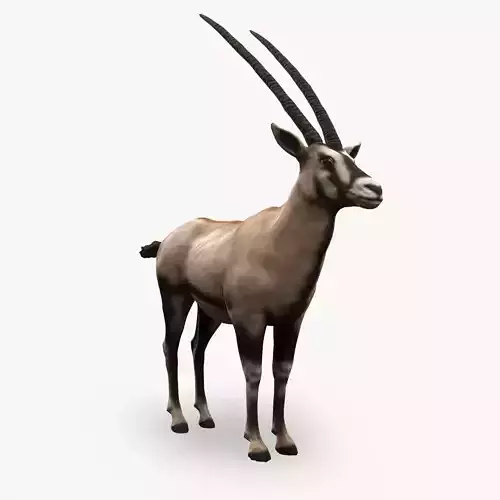 Oryx Antelope Low Poly  Low-poly 3D model