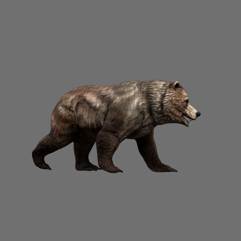 Grizzly Bear Low Poly  Low-poly 3D model_7