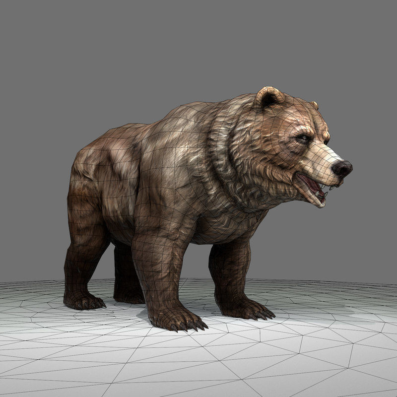 Grizzly Bear Low Poly  Low-poly 3D model_4