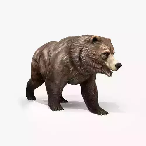Grizzly Bear Low Poly  Low-poly 3D model