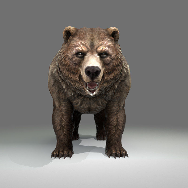 Grizzly Bear Low Poly  Low-poly 3D model_8