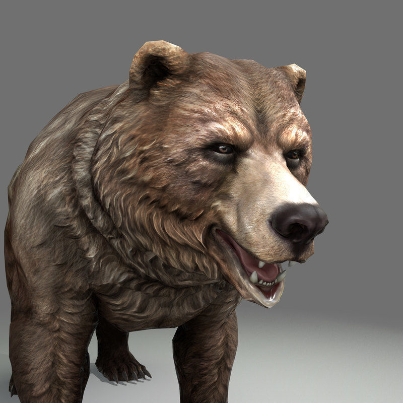 Grizzly Bear Low Poly  Low-poly 3D model_9