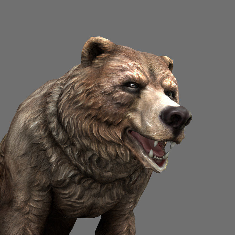 Grizzly Bear Low Poly  Low-poly 3D model_13
