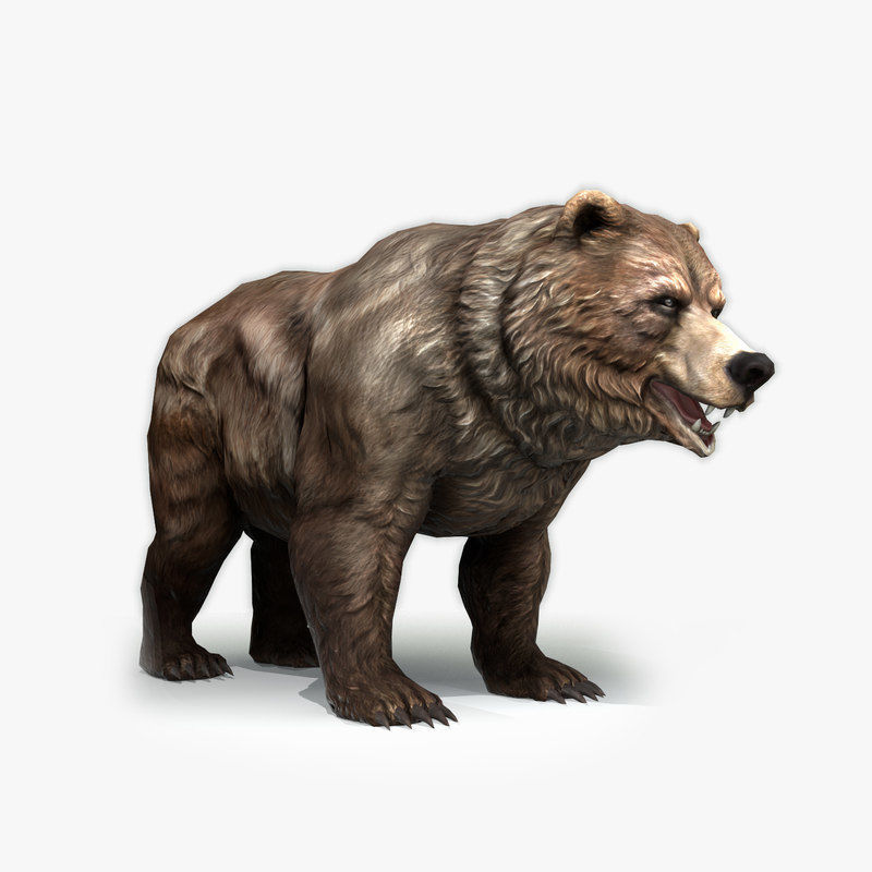 Grizzly Bear Low Poly  Low-poly 3D model_1